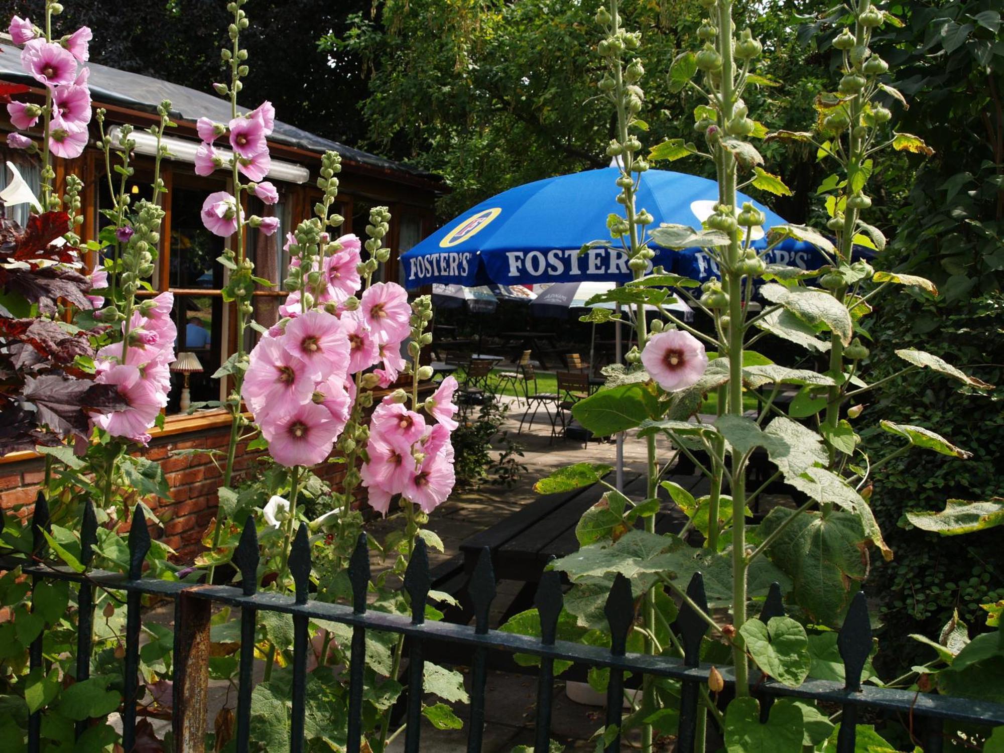 The Olde Windmill Inn Great Cressingham エクステリア 写真