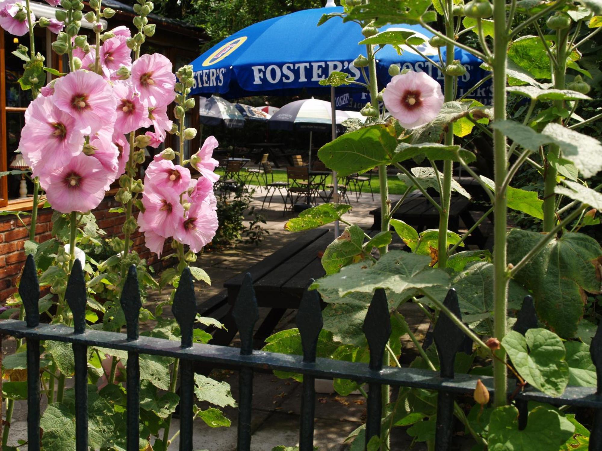 The Olde Windmill Inn Great Cressingham エクステリア 写真